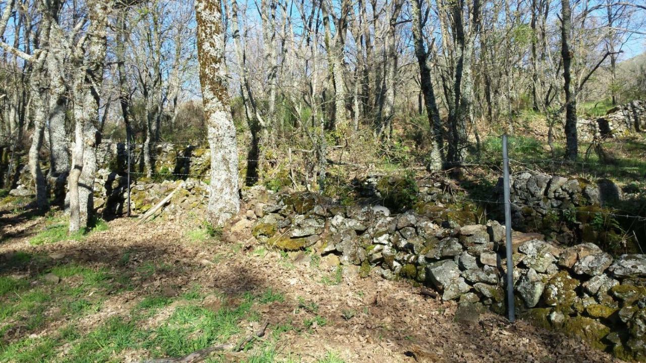 Apartamento Orgaz Candelario Dış mekan fotoğraf